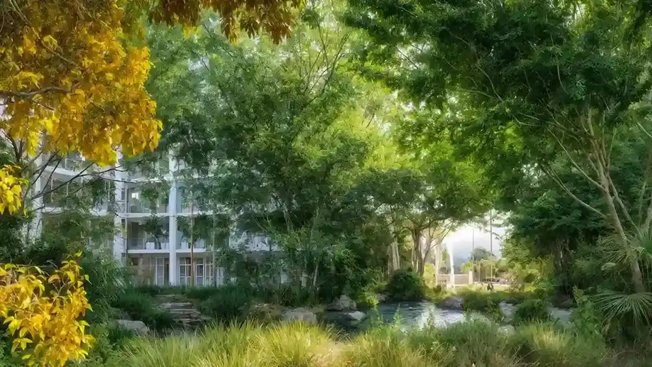 Sakura Gardens Hero Image