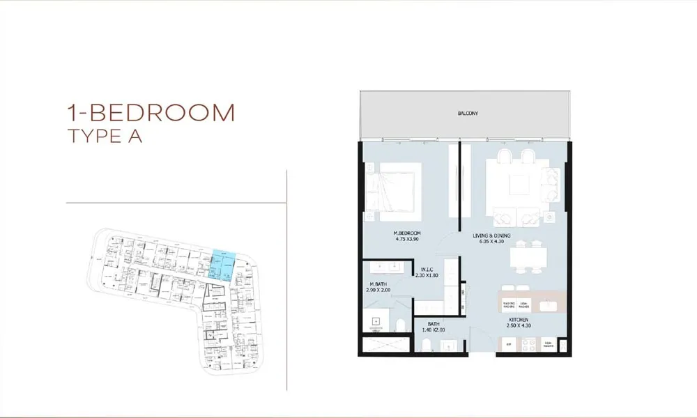 1 Bedroom Floorplan